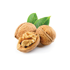 Walnut