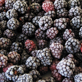 Blackberry