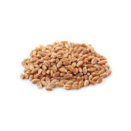 Wheat